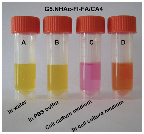 Figure S2 G5.NHAc-FI-FA/CA4 complexes dispersed in (A) water, (B) phosphate-buffered saline, and (D) cell culture medium. (C) Cell culture medium without complexes.Abbreviations: G5, generation 5; G5.NHAc-FI-FA, fluorescein isothiocyanate-modified and folic acid-modified G5 PAMAM dendrimers with acetyl terminal groups; CA4, combretastatin A4.