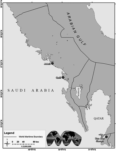 Figure 1. Study area showing the sampling sites for Chiloscyllium arabicum in the Saudi Arabian waters of the Arabian Gulf.