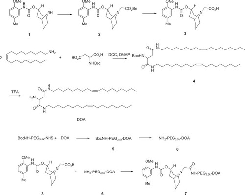 Figure 1 Synthesis scheme for SV119-PEG3500-DOA.Abbreviations: DOA, dioleyl amido aspartic acid; PEG, polyethylene glycol.