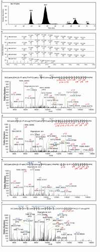 Figure 2. (a) Extracted ion chromatogram at m/z 777.2214, (b) Zoomed accurate mass spectra of the ion at m/z 777.2214 of RT 62.9, RT 64.7, RT 67.7, RT 68.6 and RT 70.1 minutes respectively, (c) Tandem mass spectrum of peak at RT 62.9, (d) Tandem mass spectrum of peak at RT 64.7, (e) Tandem mass spectrum of peak at RT 67.7, and (f) Tandem mass spectrum of peak at RT 68.5 minutes