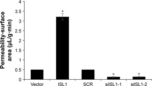 Figure 6 ISL1 promotes MRI phenotyping detection.