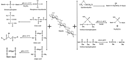 Figure 2. Mechanism of different cross-linking agents for starch cross-linking.