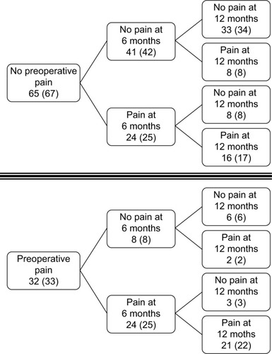 Figure 2 Changes in persistent pain from 6 to 12 months in patients with or without preoperative pain. Numbers are presented as n and (%).