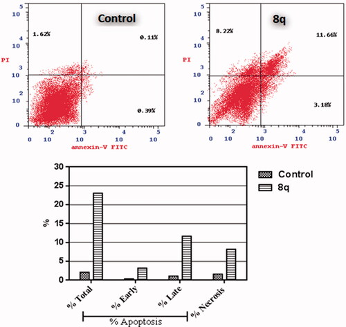 Figure 3. Impact of 8q on the percentage of Ann V-FITC-positive staining in breast cancer MDA-MB-231 cells. The experiments were done in triplicates. The four quadrants identified as: LL: viable; LR: early apoptotic; UR: late apoptotic; UL: necrotic.