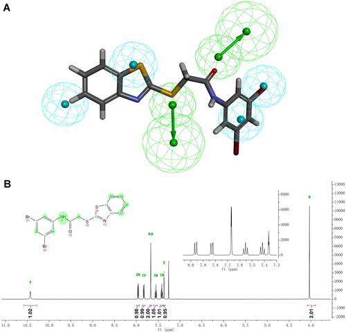 Figure 5. Alignment of 9 with pharmacophore model_01 and characterisation of 9. (A) Alignment of 9 with pharmacophore model_01. (B) 1H NMR spectrum of 9 in CDCl3.