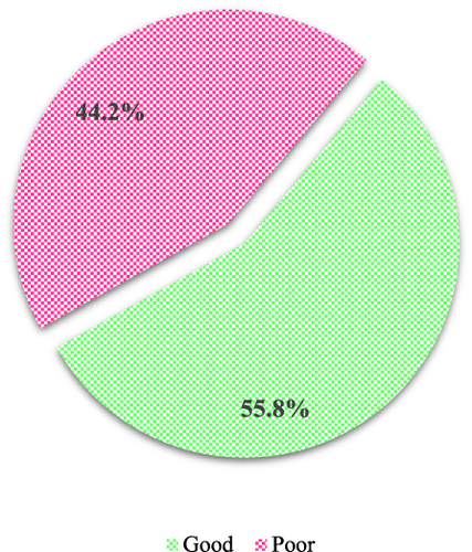 Figure 3 Levels of Knowledge among respondents.