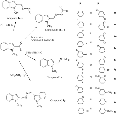 Figure 2.  Synthetic pathways of new indole-based MLT analogue compounds. MLT, melatonin.