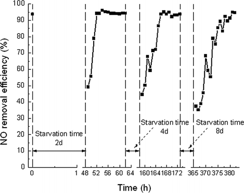 Figure 9. Reacclimation of biotrickling filter after 2, 4, and 8 days of starvation.