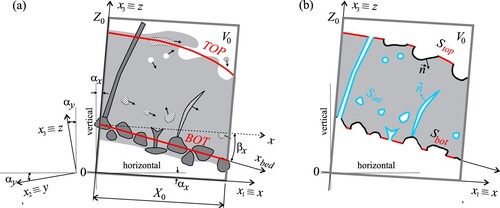 Figure 1. The averaging volume, V0, covers a section of an open channel between dark grey lines. (a) The content of the averaging volume at an arbitrary time instant: water (light grey), air (white), grains and other solid objects such as debris and vegetation (dark grey if immobile and textured if mobile). Velocities of mobile objects are shown with arrows. Thick red lines indicate the bottom and the top boundaries, denoted with BOT,TOP respectively, which are the conceptual interfaces of the 2D model with the adjacent layers. The right-handed main coordinate system x, y, z has inclination angles relative to the horizontal plane αx and αy. Another Cartesian coordinate system has the xbed,ybed plane aligned with the average bed plane, and the inclination angles relative to the xy plane βx and βy. (b) The averaging volume shown in (a) prepared for spatial averaging: water is light grey and its interfaces with other fluid phases or objects are shown as thick black or blue lines. Black lines indicate the interfaces associated with either top or the bottom boundary, and blue lines show those within the water column. Thick red lines show the wet parts of either bottom or top boundary which, for the purpose of deriving GSWEs, also act as interfaces because water located beyond them (above the top and below the bottom boundary) has been deleted. The black and the red interfaces along the bottom and the top boundaries joined together form the bottom and the top surfaces denoted with Sbot,Stop respectively. Geometry of all interfaces is defined by a unit normal vector n→ pointing into water