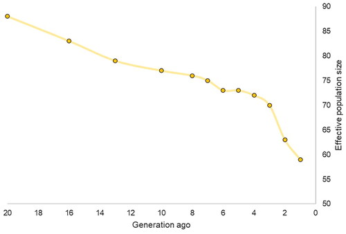 Figure 5. Effective population size (Ne) based on linkage disequilibrium (LD) in a 20 generations time-period in the Anglo Arabian (AA) breed.