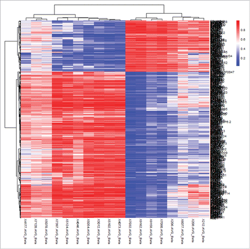 Figure 1. Hierarchical cluster analysis of the top 500 significantly differentially methylated CpG sites in neural tissues of NTD cases and controls of Population 1. Rows represent probes and columns represent samples. Cells are colored according to level of methylation (blue = low methylation, red = high methylation). The top 500 significant CpG sites can clearly distinguish lesion tissues from normal neural tissues.