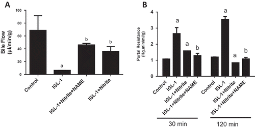 Figure 3. Bile output (a) and portal resistance (b), after 120 min of normothermic reperfusion. Livers’ rat (n = 6) were flushed and preserved in IGL-1 solution (4°C for 24 h) supplemented with 50 nM of nitrite or with 50 nM of nitrite + 1 mM of L-NAME (L-NG-Nitroarginine methyl ester). Sham: livers were flushed and perfused ex vivo without cold storage. Data are expressed as means ± SE (n = 6 for each group). a: p < 0.05 vs Sham; b: p < 0.05 vs IGL-1.