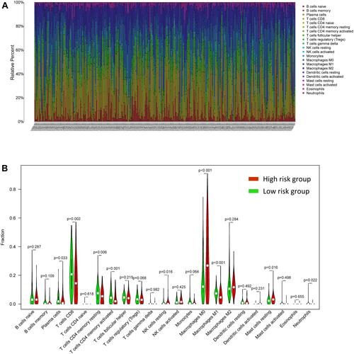 Figure 8 Immune cell infiltration in SKCM patients: distribution and visualization (A) Description of 22 immune cell subtypes’ calculated compositions in TCGA. (B) In TCGA, 22 immune cell subtypes were compared between two groups.