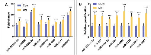 Figure 3 Expression levels of 8 DEmiRNA. (A) The difference between DN group and control group of miR-103a-2-5p, miR-297, miR-548x-3p, miR-604, miR-644a, miR-1256, miR-3911 and miR-5047 in the chip data set GSE96804. (B) Verification of DEmiRNAs expression by qRT-PCR in mice model. (***P<0.001).