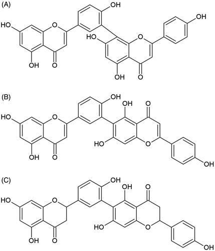 Figure 4. Chemical structures of biflavonoids with anti-elastase potential. (A) Amentoflavone, (B) robustaflavone, and (C) rhusflavonone.