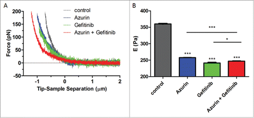 Figure 6. (A) Force indentation curves obtained from indentation of A549 cells untreated (control), or treated with azurin (100 µM, 48h), gefitinib (1 µM, 72h) or both (same concentrations, 72h); (B) Young's modulus for A549 cells untreated (control), or treated with azurin (100 µM, 48h), gefitinib (1 µM, 72h) or both (same concentrations, 72h). Results with standard deviations were obtained by using over 250 cells, in at least 3 different biological replicates, with 5 force curves per cell. Values are presented as the maximum Gaussian mean ± SEM. * p = 0.015; *** p < 0.001.