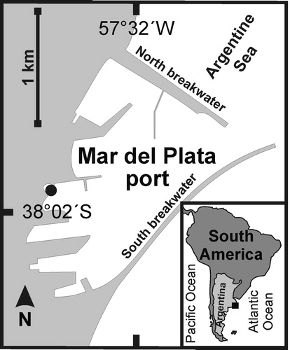 Figure 1. Map of the Mar del Plata port, Argentina, showing the sampling site (●).