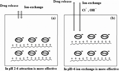 Scheme 4 The representation of the release mechanism of naproxen adsorbed in PCP sample.