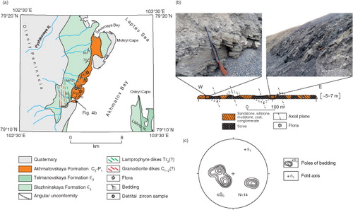 Fig. 4 (a) Geological map of north-western part of Akhmatov Bay, Oleniy Peninsula, Bol'shevik Island; (b) geological cross-section across the Akhmatovskaya Formation; (c) stereographic projections of bedding poles of the Akhmatovskaya Formation.