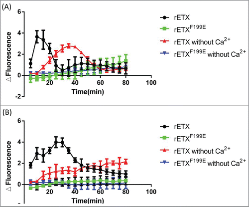 Figure 6. Ability of recombinant toxins to trigger an increase in intracellular Ca2+. Changes in intracellular calcium were monitored using Fluo-8®AM as described in Experimental Procedures. MDCK cells were incubated with 4 μg/ml toxins (A) or 40 μg/ml toxins (B) and fluorescence was measured at 5 minute intervals in 80 min. Data points represent mean values ± SD, n = 3.