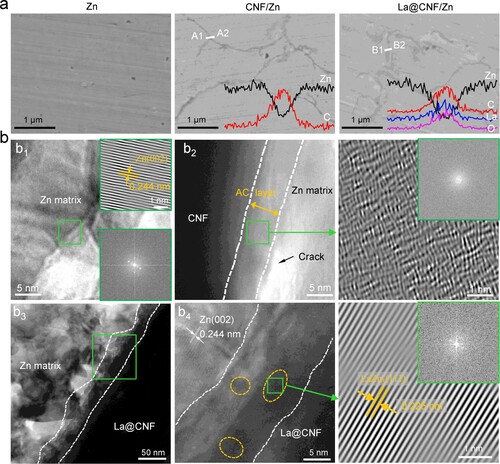 Figure 3. (a) Cross-section microstructure of Zn- and Zn-based composites by SEM in the backscatter model, and EDS line scan spectra, marked as A1–A2 and B1–B2, respectively; (b) TEM characterisation: (b1) microstructure for Zn; (b2) the interface structure of CNF/Zn; (b3) TEM image and (b4) high-resolution TEM image from the marked box, showing the interface structure of La@CNF/Zn.