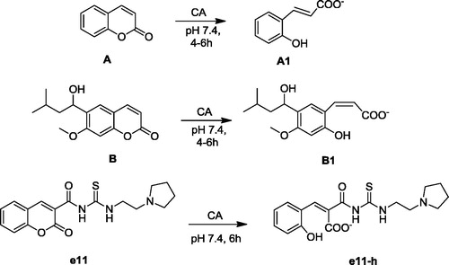Figure 1. Formation of 2-hydroxy-cinnamic acids A1, B1 and e11-h by the CA-mediated hydrolysis of coumarin A, B and e11.