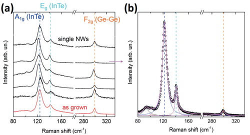 Figure 4. (a) Raman spectra obtained on an ensemble of as-grown NWs catalysed by 10 Au NPs on Si (001) (red solid line) and on 5 different single NWs transferred on a Si (111) substrate (black solid lines). Vertical dashed lines mark the frequencies of the modes related to InTe and Ge. (b) Raman spectrum of a representative single NW (open circles), with individual Lorentzian contributions deconvoluted (solid lines).