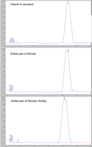 Figure 3. Typical chromatogram displaying the vitamin E profile after analyzing the edible portion of pecan nuts through HPLC, retention time at 20 min.