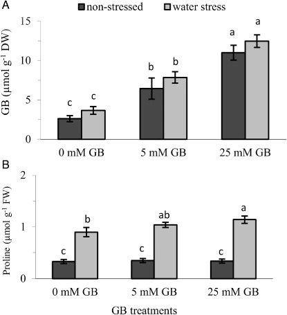 Figure 5 Effect of foliar application of GB on: A, leaf GB; and B, proline contents of pepper seedlings grown under optimum and water stress conditions. Vertical bars represent mean ± SE (n = 8).