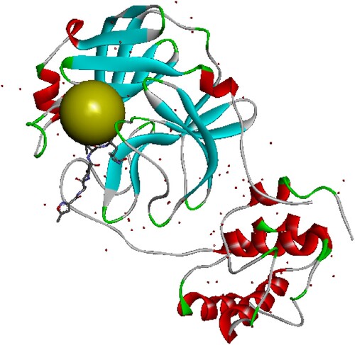 Figure 1. Structure of the protein SARS-COV-2 main protease: the green sphere represents position of the allosteric active site, the coordinates of the active site are x=−9.378 y = 20.384 z = 68.898.