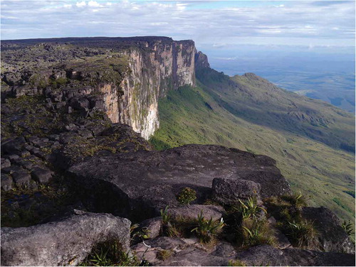 Figure 24. Mount Roraima, a spectacular tepui in Venezuela. Photograph MM from Switzerland (Wikimedia Commons).