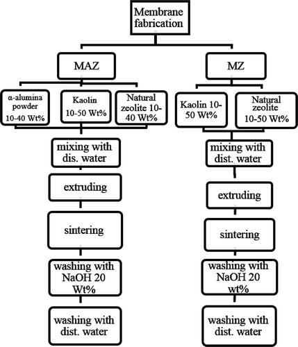 Figure 2. Schematic representation of procedures for membrane fabrication.