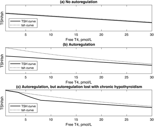 Figure 5. The extension of the logic of Figure 3 to show the different relationships between the TSH curve and the tsh curve depending on the presence or absence of autoregulation. (a). TSH and tsh curves identical in the absence of autoregulation. (b). TSH curve lies below tsh curve in the presence of autoregulation. (c). TSH curve below tsh curve at normal/high values of FT4, but becomes identical to tsh curve at low values of FT4, when autoregulation is present but lost at low values of FT4 in chronic hypothyroidism.