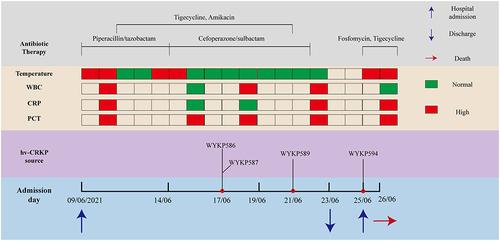 Figure 1 Medical history of the patient with hv-CRKP infection.