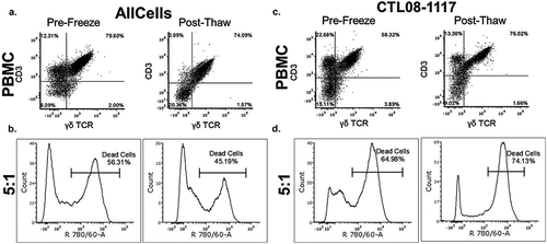 Figure 2. Cytotoxic activity of NB patient-derived γδ T cells Healthy donor (a, b) and NB patient (c, d) γδ T cells were expanded to day 14 and frozen at 1 × 107 cells/mL. Prior to freezing, cells were tested for cytotoxic potential against K562 cells. The left side panels show data from cells prior to freezing and the right side panels show data from cells after freezing. For the post-thaw samples, cells were thawed at 37oC and incubated in growth media for 8 hrs prior to use in the 4 hr cytotoxicity assay. (b, d) γδ T cells were used at a 5:1 effector to target ratio and incubated for 4 hr with K562 cells. Cytotoxicity was measured using flow cytometry by gating on the target cells stained with VPD450 and then analyzing the target cells for the dead stain dye, eFluor Alexa 780. There was no significant difference between pre-freeze and post-thaw γδ T-cell percentage as well as cytotoxicity (one-way ANOVA p = 0.618, N = 4). Raw representative flow cytometry data are shown.