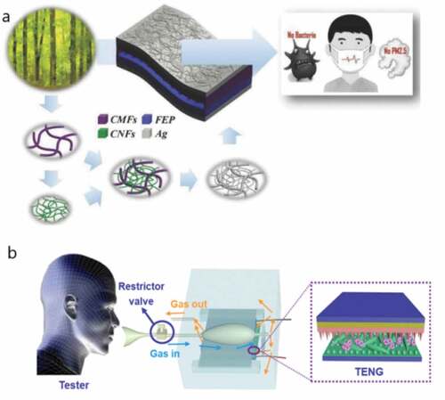 Figure 7. Applications of TENG in air purification and respiratory surveillance. (a) A self-powered respiration monitoring system based on Ag nanowires [Citation9]. (b) A TENG used for respiratory detection which collected energy from airflow disturbances [Citation49]