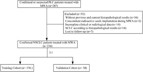Figure 1. Patient selection flowchart. PLC: primary lung cancer; MWA: microwave ablation; NSCLC: non-small cell lung cancer; SCLC: small cell lung cancer.