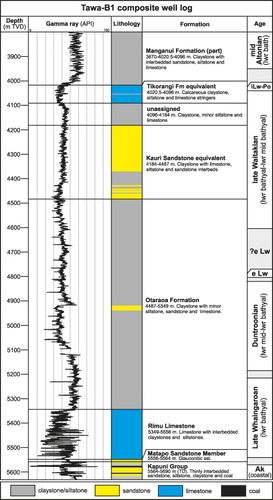 Figure 6 Simplified composite summary well sheet for well Tawa-B1 (after Swift Energy NZ Citation2005) in onshore southern Taranaki, where the drilled section of Oligocene–earliest Miocene is at its thickest (c. 1530 m). With the exception of the carbonate-bearing Rimu and Tikorangi limestones (both of which contain significant terrigenous silt and sand), the section is dominated by clastic material, including a number of sandstone units.