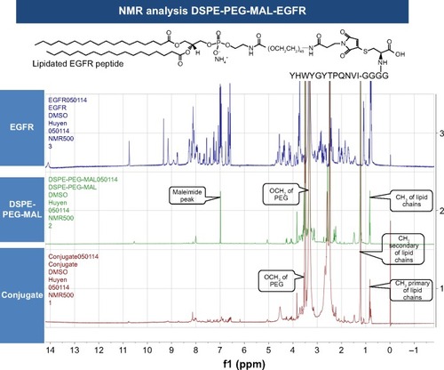 Figure 3 Comparison of 1H-nuclear magnetic resonance spectra for EGFR-targeting peptide, DSPE-PEG-MAL, and the conjugated product.Abbreviations: DMSO, dimethyl sulfoxide; DSPE, 1,2-distearoyl-sn-glycero-3-phosphoethanolamine; EGFR, epidermal growth factor receptor; MAL, maleimide; NMR, nuclear magnetic resonance; PEG, polyethylene glycol.