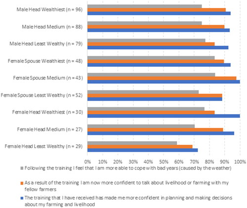 Figure 5. Perceived confidence in farming and decision making by headship status, gender and wealth.