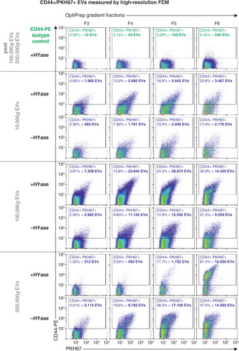 Fig. 5.  High-resolution FCM of SF-derived EVs; detection of CD44+/PKH67+ EVs. EVs were isolated from HYase-treated or non-treated healthy SF, labelled with PKH67 and anti-CD44 antibody (PE-conj.) floated in OptiPrep gradients and analysed using high-resolution FCM. Scatter plots for the subsequent 10,000g, 100,000g, and 200,000g ultracentrifugation steps are shown for gradient fractions F3–F6 corresponding to Fig. 2b. Percentages of CD44+ events and absolute CD44+ numbers measured per 30 s were determined using a square gate based on the isotype control (pool of 100,000g and 200,000g EVS, labelled with PKH67 and CD44-PE isotype antibody).