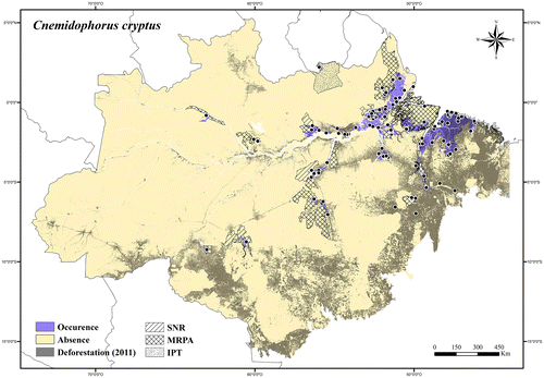 Figure 100. Occurrence area and records of Cnemidophorus cryptus in the Brazilian Amazonia, showing the overlap with protected and deforested areas.