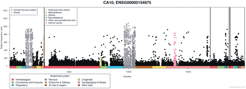Figure 8.  Expression of CA10 gene in normal and pathological conditions in human: Microarray data of the mRNA expression levels of human genes in normal and pathological tissues from MediSapiens. (http://www.medisapiens.com, accessed February 2012)Citation21.