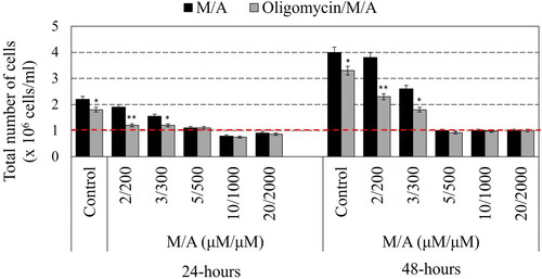 Figure 1. Effect of oligomycin-A (100 ng/mL) on the cell viability and proliferation of M/A-treated leukaemic lymphocytes (Jurkat) after 24 h and 48 h of incubation in humidified atmosphere. Data are means ± SD from three independent experiments with two parallel measurements for each experiment. *p < 0.05, **p < 0.01: oligomycin/M/A-treated versus the respective M/A-treated cells or oligomycin-treated sample versus the untreated cells (control). Red dashed line indicates the initial cell number in the suspension.
