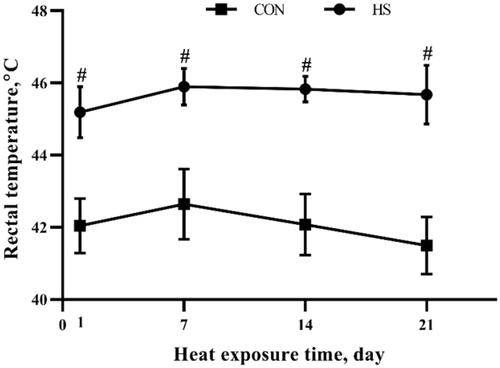Figure 1. Effects of heat stress exposure on the rectal temperature of broilers. CON, control group; HS, heat stress exposure. The pound key (#) indicated significant difference (P < 0.05).