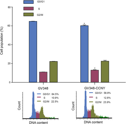 Figure 4 Cell cycle analysis. Cell cycle distribution of cells was determined by flow cytometry. The histogram showed the statistical data expressed as the mean ± standard error. *P<0.05 (t-test).