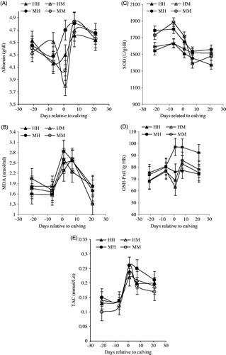 Figure 3. Effects of close-up BCS and previous milk yield (305-DIM) on plasma oxidative status indices in Holstein dairy cows during transition period (days −21 to 21). MM: medium BCS and moderate milk yield; MH: medium BCS and high milk yield; HM: high BCS and moderate milk yield; HH: high BCS and high milk yield.