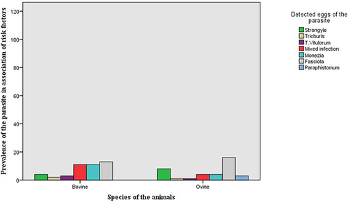 Figure 8 The potential risk factors for the parasite infection in the study animals: The parasite infection among animal species categories.