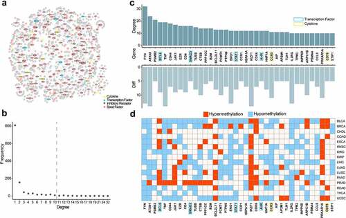 Figure 7. The PPI network of exhausted marker genes. a. The PPI network of exhausted marker genes. Yellow, blue, green and pink represented cytokine, transcription factor, inhibitory receptor and common seed factor, respectively. Grey represented the genes interacted with seed genes. b. The distribution of node degree. c. The characteristics of hub genes in PPI network. The top bar plot represented the degree distribution of hub genes, the bottom bar plot represented the count of cancers covered by differentially methylated genes. d. The regulation tendency of differentially methylated genes in different cancers.