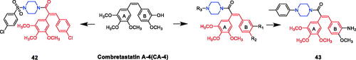 Figure 21. Chemical structures of combretastatin-A4 and its derivatives.